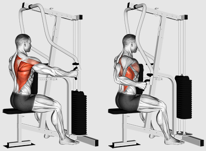 Чи варто зосередитись на рядках чи потягах для кращого тренування на спині?