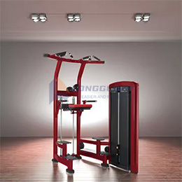 Assisted Dip & Tail-Up Machine